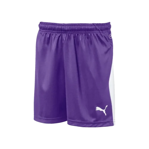 Liga GK Short Purple
